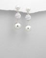 /album/brincos-prata-de-lei-cristais-swarovski-novo/a994582-579577515417934-916834316-n-jpg/