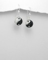 /album/brincos-prata-de-lei-cristais-swarovski-novo/a1150818-579577438751275-1920906886-n-jpg/