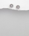/album/brincos-prata-de-lei-cristais-swarovski-novo/a1175484-579577835417902-1581485433-n-jpg/